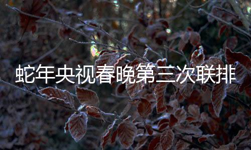蛇年央視春晚第三次聯(lián)排，全方位呈現(xiàn)蛇年喜慶氣氛