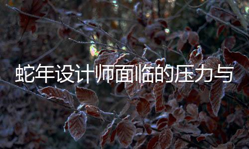 蛇年設(shè)計(jì)師面臨的壓力與挑戰(zhàn)