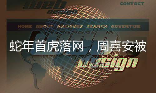 蛇年首虎落網(wǎng)，周喜安被查事件引關(guān)注