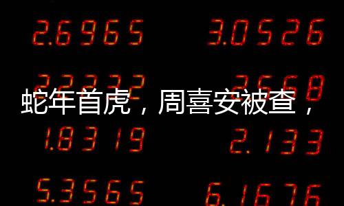 蛇年首虎，周喜安被查，揭秘背后不為人知的真相
