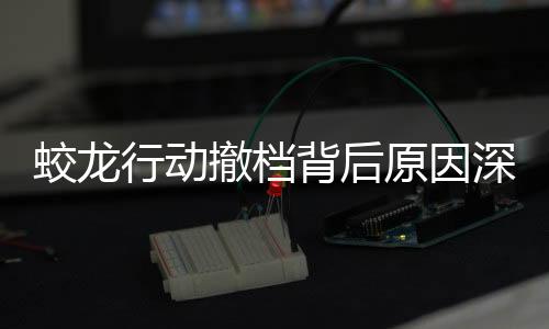 蛟龍行動(dòng)撤檔背后原因深度解析