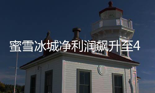 蜜雪冰城凈利潤飆升至44.5億，業(yè)績亮眼，展望未來發(fā)展