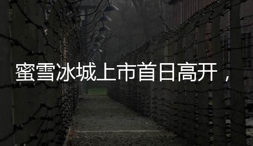 蜜雪冰城上市首日高開，漲幅超過29%，引領(lǐng)股市新風(fēng)向標(biāo)