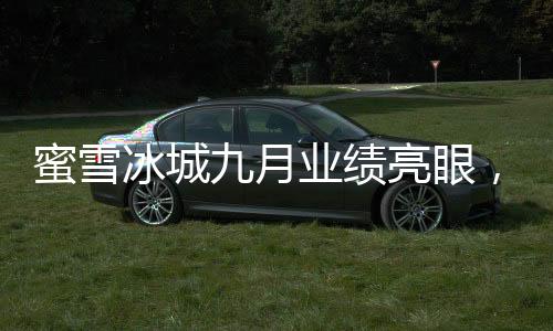 蜜雪冰城九月業(yè)績(jī)亮眼，盈利達(dá)35億——行業(yè)巨頭持續(xù)領(lǐng)跑市場(chǎng)