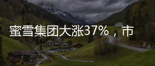 蜜雪集團(tuán)大漲37%，市值再創(chuàng)新高