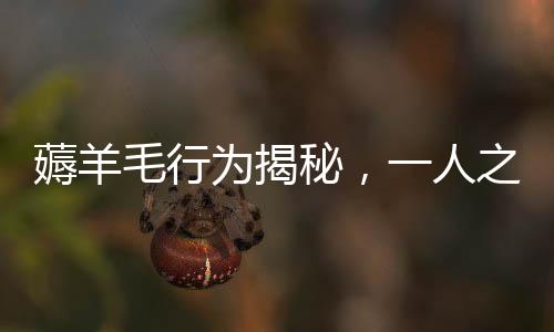 薅羊毛行為揭秘，一人之力，薅出200多萬運費險