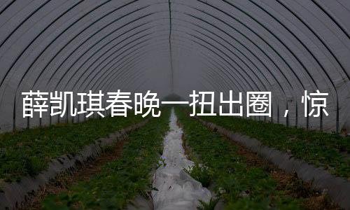 薛凱琪春晚一扭出圈，驚艷表演引發(fā)全民熱議