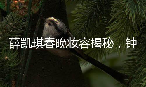 薛凱琪春晚妝容揭秘，鐘楚曦打造夢(mèng)幻妝效，展現(xiàn)驚艷之美
