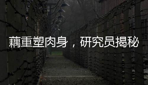 藕重塑肉身，研究員揭秘生命新奇跡