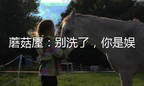 蘑菇屋：別洗了，你是娛樂老大哥