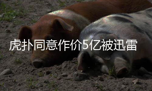 虎撲同意作價(jià)5億被迅雷收購，體育資訊巨頭邁向數(shù)字化轉(zhuǎn)型之路