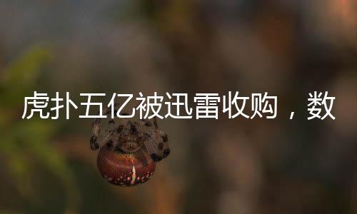 虎撲五億被迅雷收購(gòu)，數(shù)字體育娛樂(lè)產(chǎn)業(yè)的重大變革