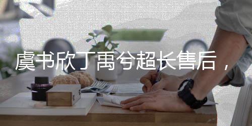 虞書欣丁禹兮超長售后，揭秘背后的故事與情感連接