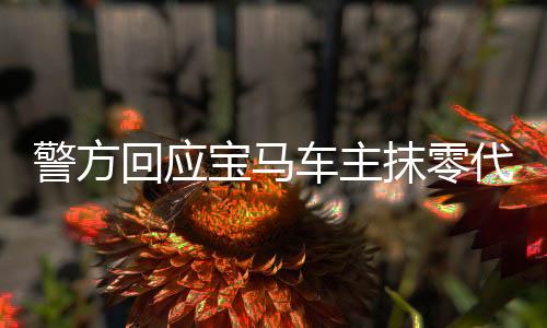 警方回應(yīng)寶馬車(chē)主抹零代駕費(fèi)事件，理性探討與道德引領(lǐng)的重要性