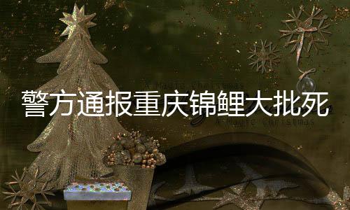 警方通報重慶錦鯉大批死亡事件，人為投毒揭秘
