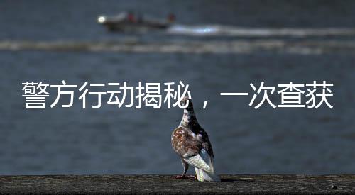 警方行動揭秘，一次查獲80個泡泡瑪特玩偶的幕后故事