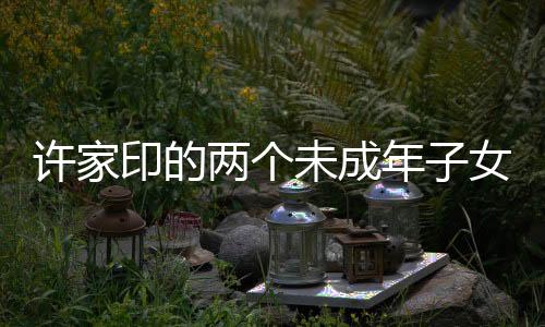 許家印的兩個(gè)未成年子女，家庭背景與成長焦點(diǎn)