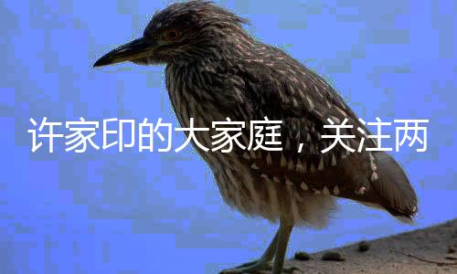許家印的大家庭，關(guān)注兩名未成年子女的成長故事