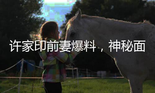 許家印前妻爆料，神秘面紗背后的未成年子女真相