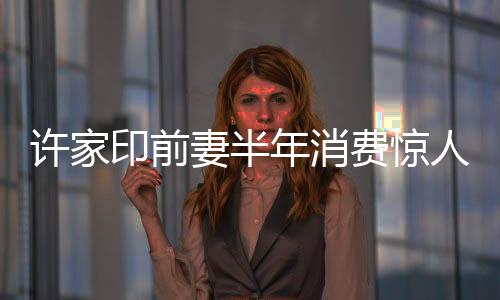 許家印前妻半年消費(fèi)驚人，揭秘其豪華生活背后的故事