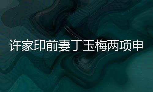 許家印前妻丁玉梅兩項(xiàng)申請(qǐng)被拒事件分析