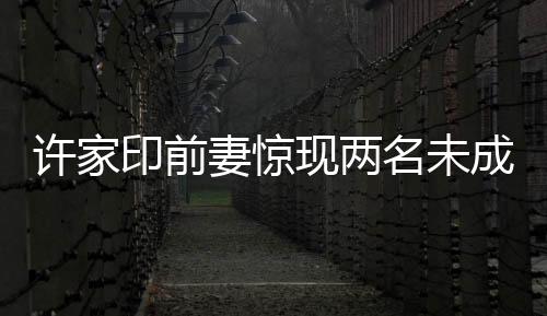 許家印前妻驚現(xiàn)兩名未成年子女，引發(fā)社會熱議