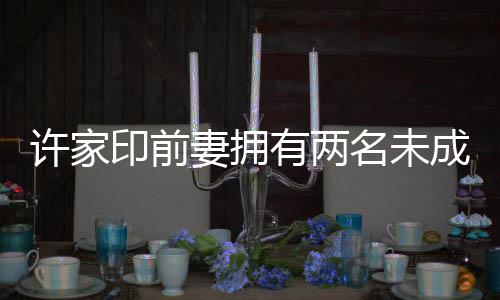 許家印前妻擁有兩名未成年子女，揭秘家庭私密話題