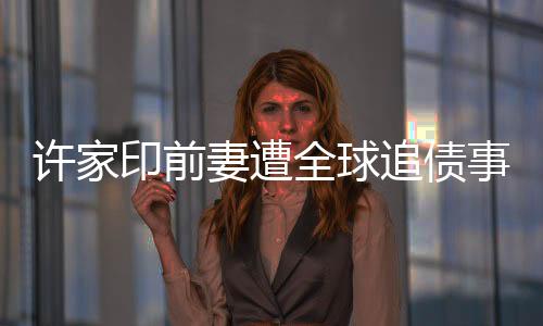 許家印前妻遭全球追債事件，深入解讀與多方反應(yīng)