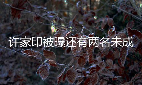 許家印被曝還有兩名未成年子女，揭秘商界巨頭背后的家庭秘密