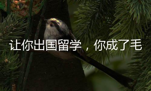 讓你出國(guó)留學(xué)，你成了毛熊總統(tǒng)