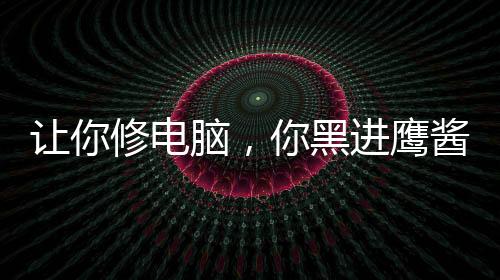 讓你修電腦，你黑進(jìn)鷹醬國防部？