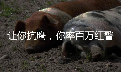 讓你抗鷹，你率百萬紅警吊打藍星
