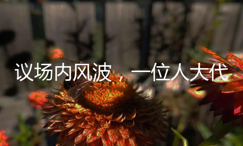 議場(chǎng)內(nèi)風(fēng)波，一位人大代表發(fā)言被三次打斷引發(fā)深思