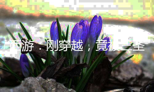 西游：剛穿越，竟被三圣母童養(yǎng)夫