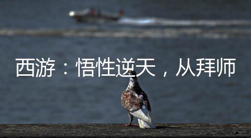西游：悟性逆天，從拜師八戒開始