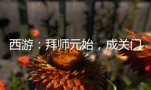 西游：拜師元始，成關(guān)門(mén)弟子！