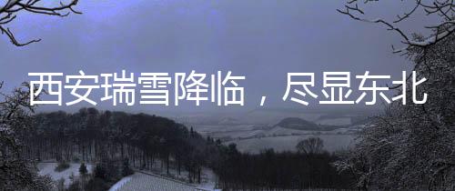 西安瑞雪降臨，盡顯東北之威，雪的氣勢非凡驚艷四方！