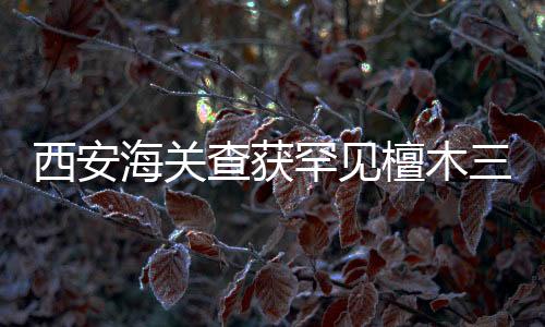 西安海關(guān)查獲罕見檀木三弦琴，文物保護(hù)與文化走私的較量