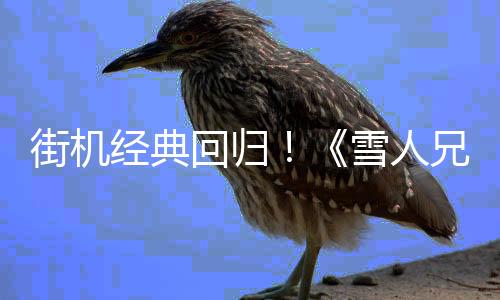 街機(jī)經(jīng)典回歸！《雪人兄弟2 特別版》登陸Steam與Switch平臺(tái)