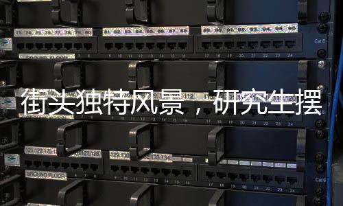 街頭獨特風(fēng)景，研究生擺攤?cè)杖?00