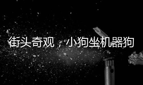 街頭奇觀，小狗坐機(jī)器狗逛街，驚呆路人