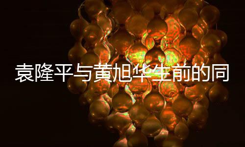 袁隆平與黃旭華生前的同框瞬間，感人至深的跨時代致敬