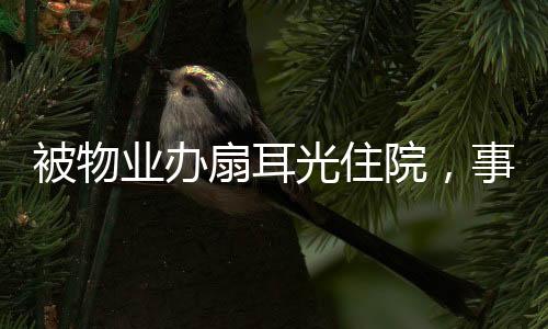 被物業(yè)辦扇耳光住院，事件背后的真相與反思
