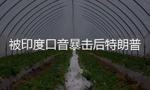 被印度口音暴擊后特朗普請(qǐng)了個(gè)翻譯，國際交流中的語言挑戰(zhàn)與應(yīng)對(duì)策略