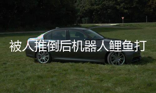被人推倒后機(jī)器人鯉魚(yú)打挺起身，未來(lái)科技的驚人表現(xiàn)