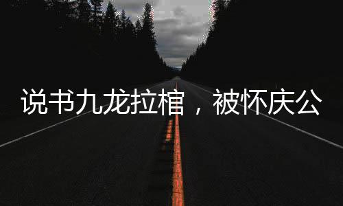說書九龍拉棺，被懷慶公主倒追