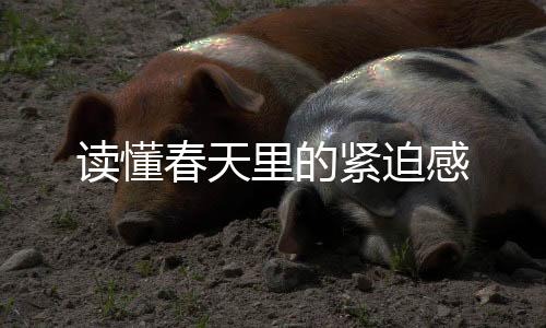 讀懂春天里的緊迫感