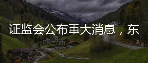 證監(jiān)會公布重大消息，東方集團涉嫌重大財務造假案件紀實