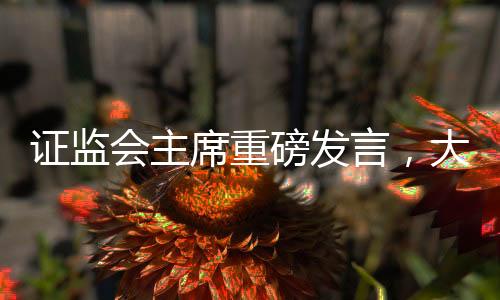 證監(jiān)會(huì)主席重磅發(fā)言，大事不過(guò)年，只爭(zhēng)朝夕，以?shī)^進(jìn)之姿開(kāi)啟新的篇章
