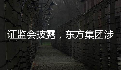 證監(jiān)會披露，東方集團(tuán)涉嫌重大財(cái)務(wù)造假